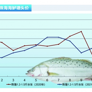 ���|������Ӱ��N�����r���Է�������������ˮ�aǰ�ء�2021��12�¿��Ј�څ��