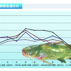 �S��~�������S��~�~�r���m�µ�������ˮ�aǰ�ء�2021��12�¿��Ј�څ��