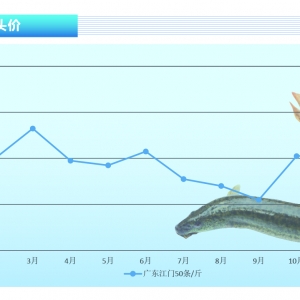 ���q����q��С�����¡�����ˮ�a(ch��n)ǰ�ء�2021��12�¿��Ј�(ch��ng)څ��(sh��)