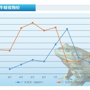 ţ�ܣ����顢���w�p��Ӱ푣��r���y���ϝq������ˮ�aǰ�ء�2022��1�¿��Ј�څ��