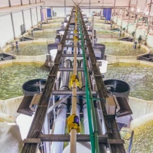 δ�����@���B�~��ٍ�X��