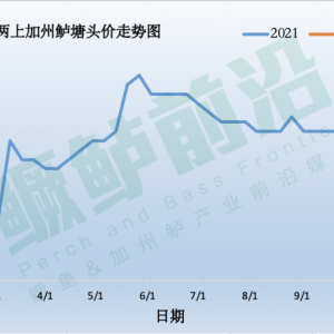�����|�ٝq0.5Ԫ�����~�ٱ���܇����