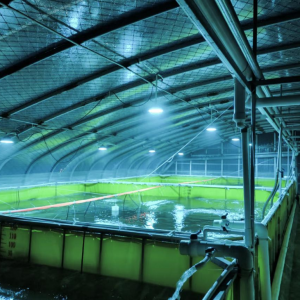 ���r�a������20%����ɽ����ϵ�y�@��ͻ��