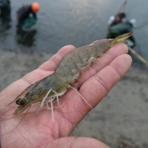 70���B(y��ng)���r���@�Nģʽ�����r�r�³�·��