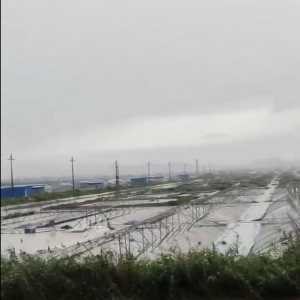 �D�y���r�������ֱ��ͣ���ʮ��׃ǧ��...