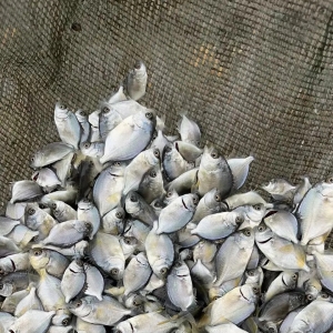 �_�P�r�����w�᣿������KͶ���4�|