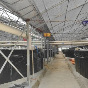 �V���B�r�������l�|����Ʒ�|���r���Ї��r�r�ĳ�·