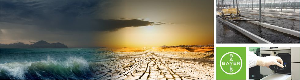 �ݶ����Ĵ������ﱣ�����޹�˾���}