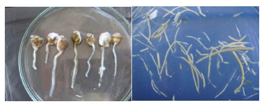 �ݶ����Ĵ������ﱣ�����޹�˾���}