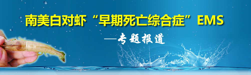 �����׌��r�����������C�ϰY��EMS