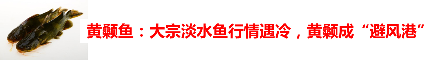 2017春季購種指南