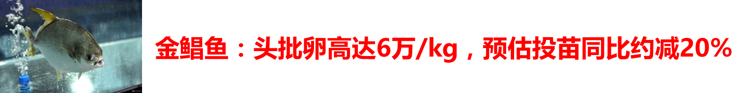2017春季購種指南