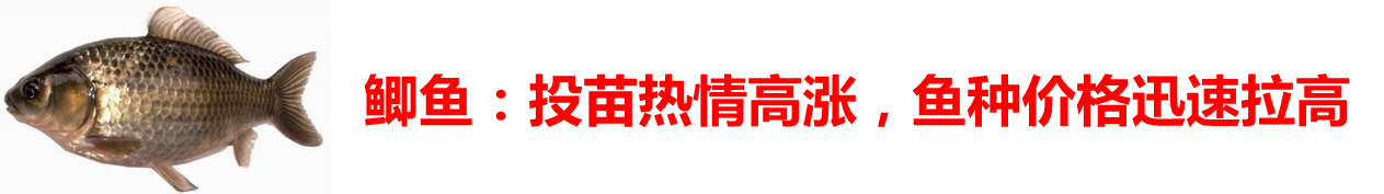 2017春季購種指南