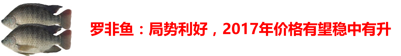 2017春季購種指南