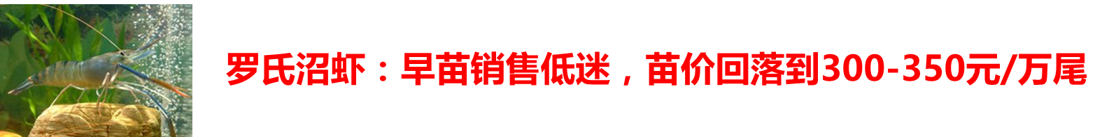 2017春季購種指南