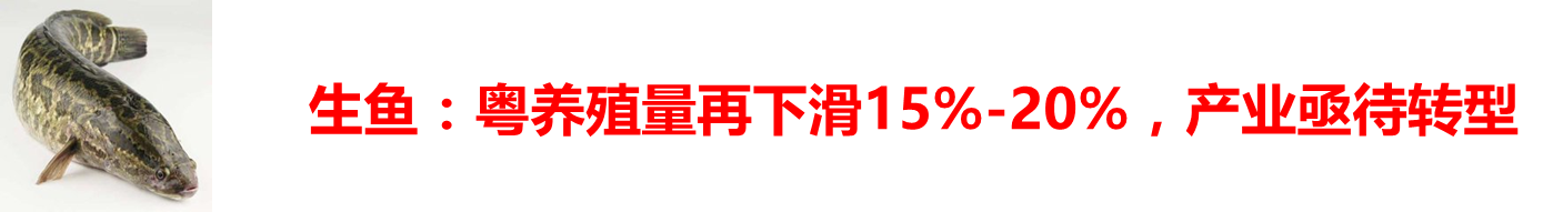 2017春季購種指南