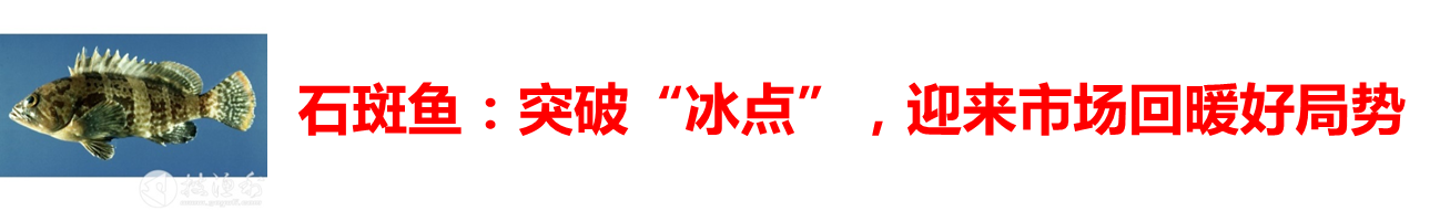 2017春季購種指南