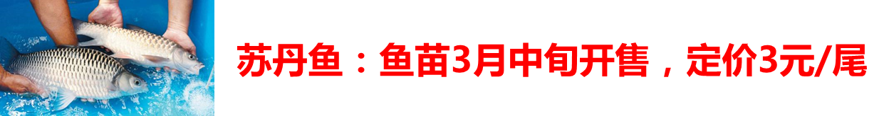 2017春季購種指南