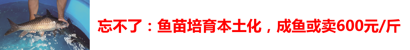 2017春季購種指南